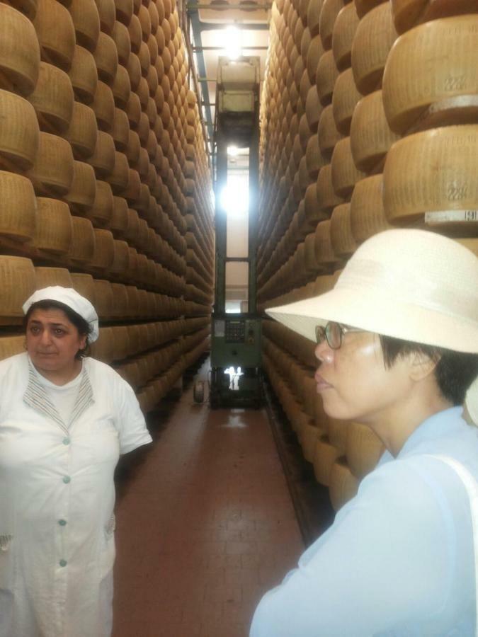 App.To Pian Del Ronco Διαμέρισμα Pellegrino Parmense Εξωτερικό φωτογραφία